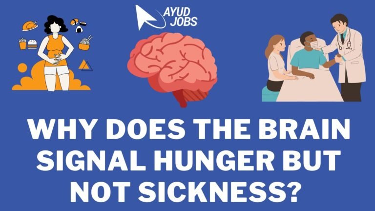 Why Does the Brain Signal Hunger But Not Sickness